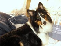 photos 2000-200902854